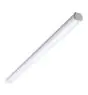 Philips Oprawy Hermetyczne LED Ledinaire WT060C 46W 5600lm - 865 Światło Dzienne | 150cm